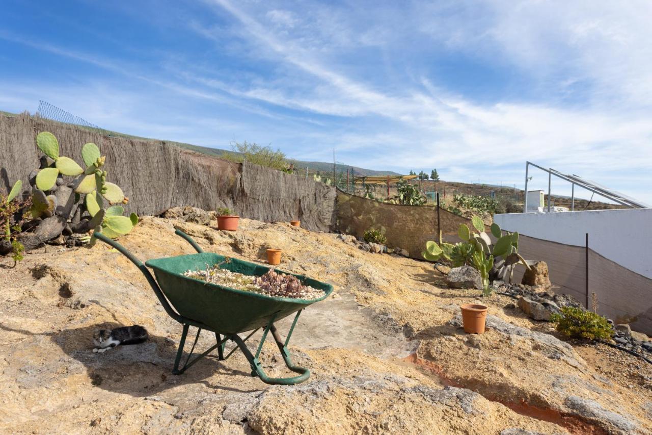 Casa Cueva Gaspara Arico Ngoại thất bức ảnh